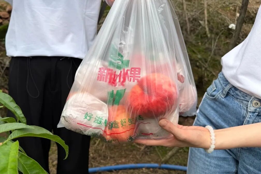 155.jpg